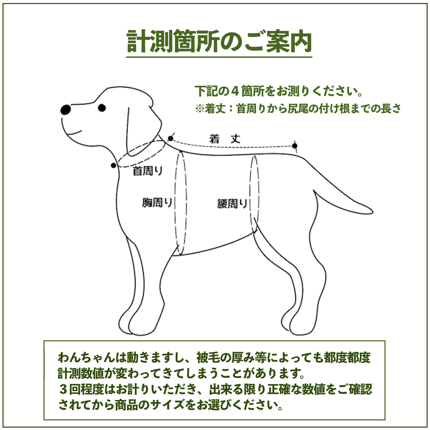 犬服パターン /ラグランTシャツ【幅広】
