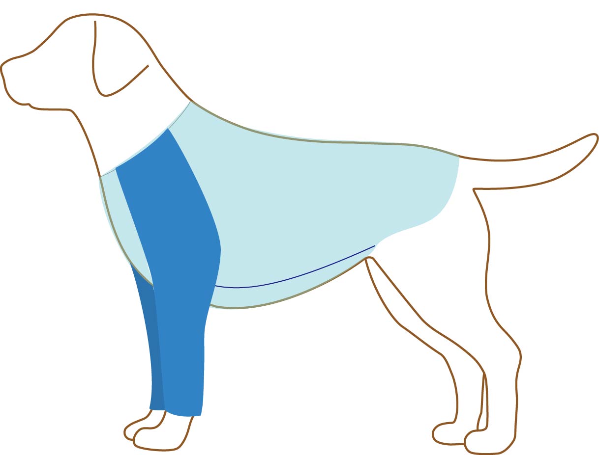 ラグランTシャツを着た犬のイラスト