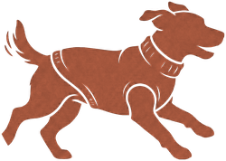 ちょうどいい服