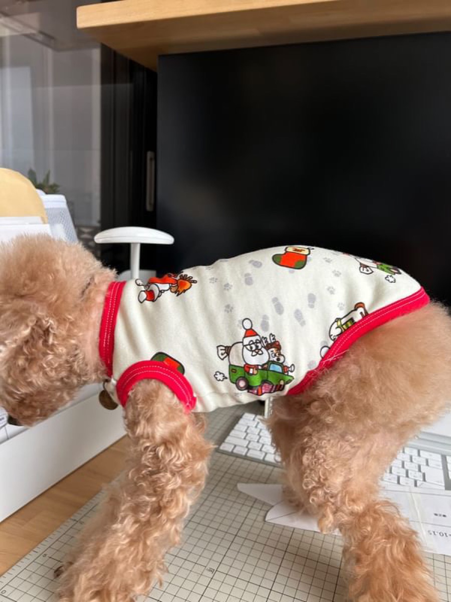 犬服ギャラリー