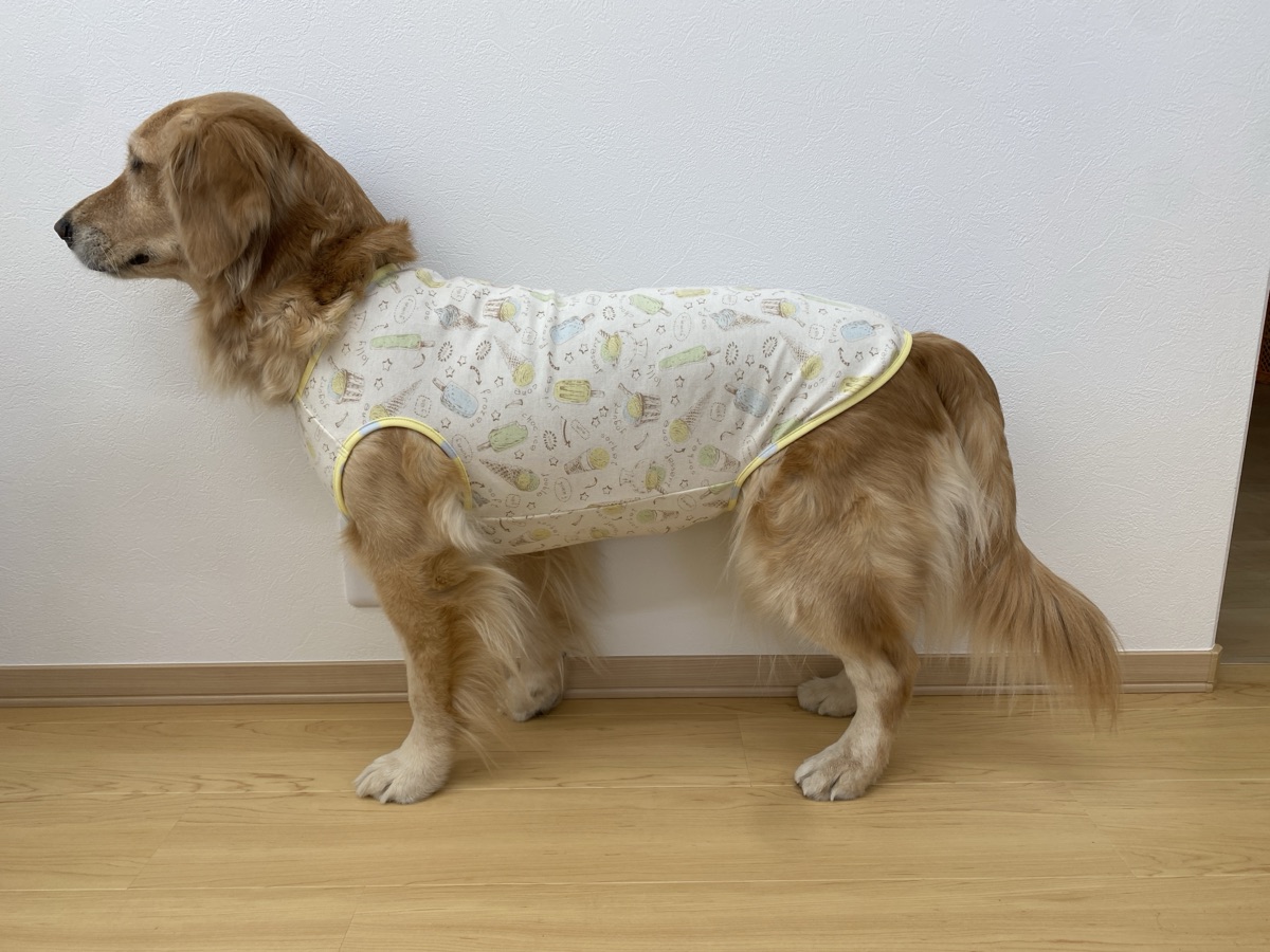 犬服ギャラリー