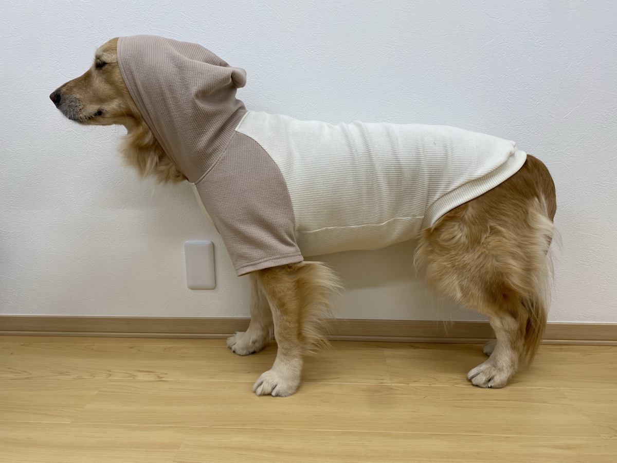 犬服ギャラリー