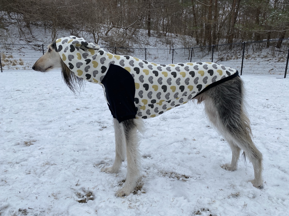 犬服ギャラリー