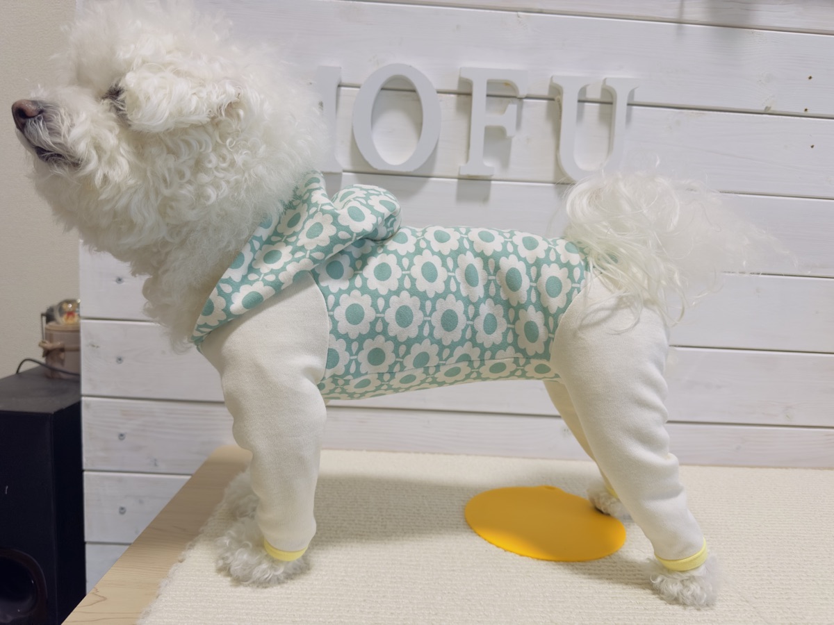 犬服ギャラリー