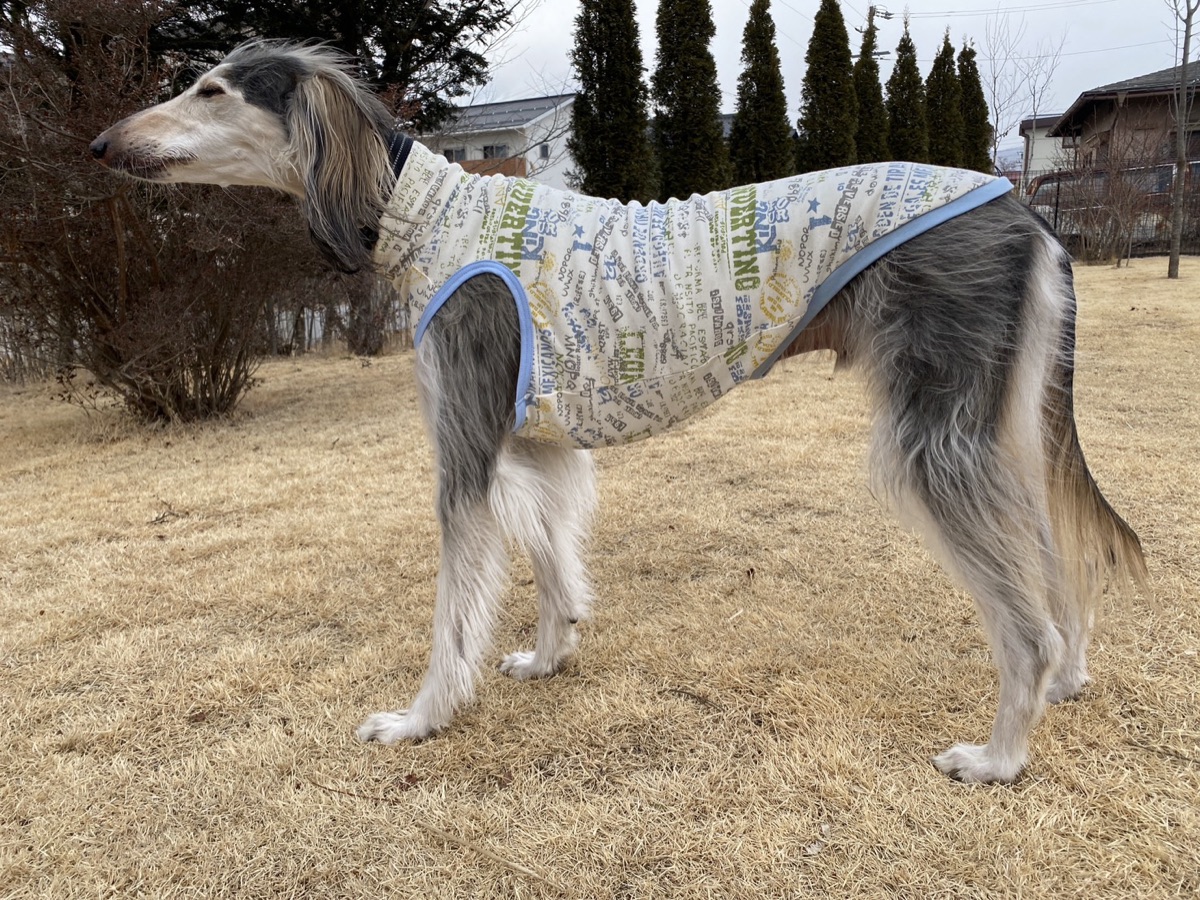 犬服ギャラリー