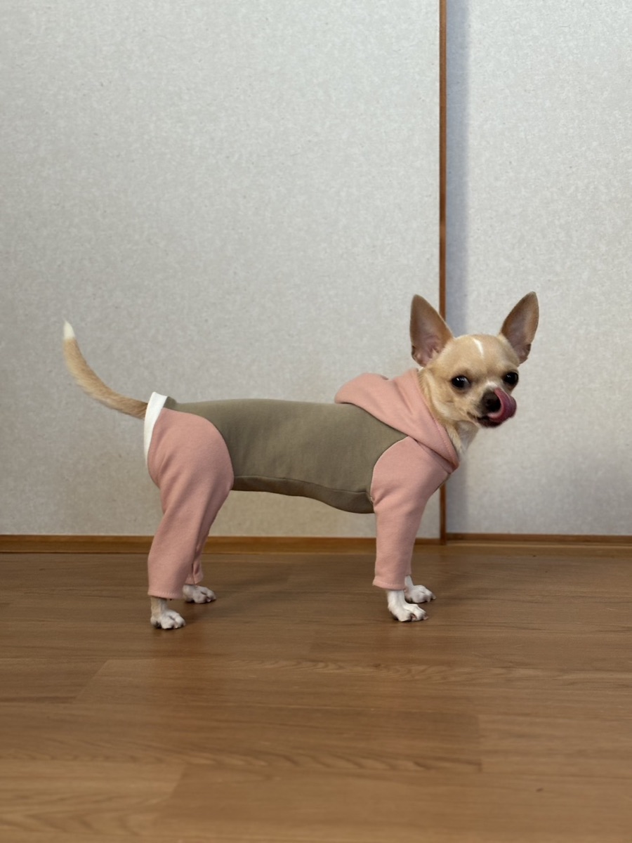 犬服ギャラリー