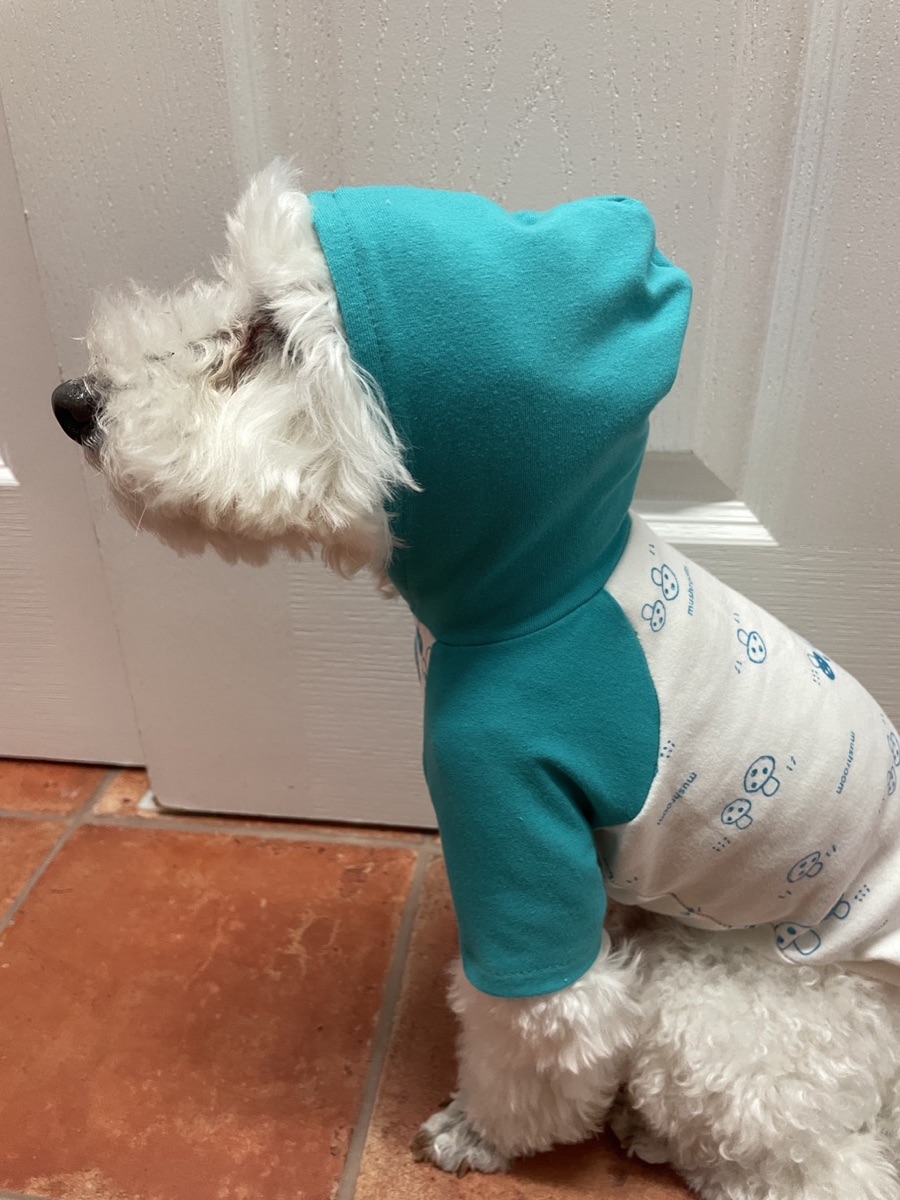 犬服ギャラリー