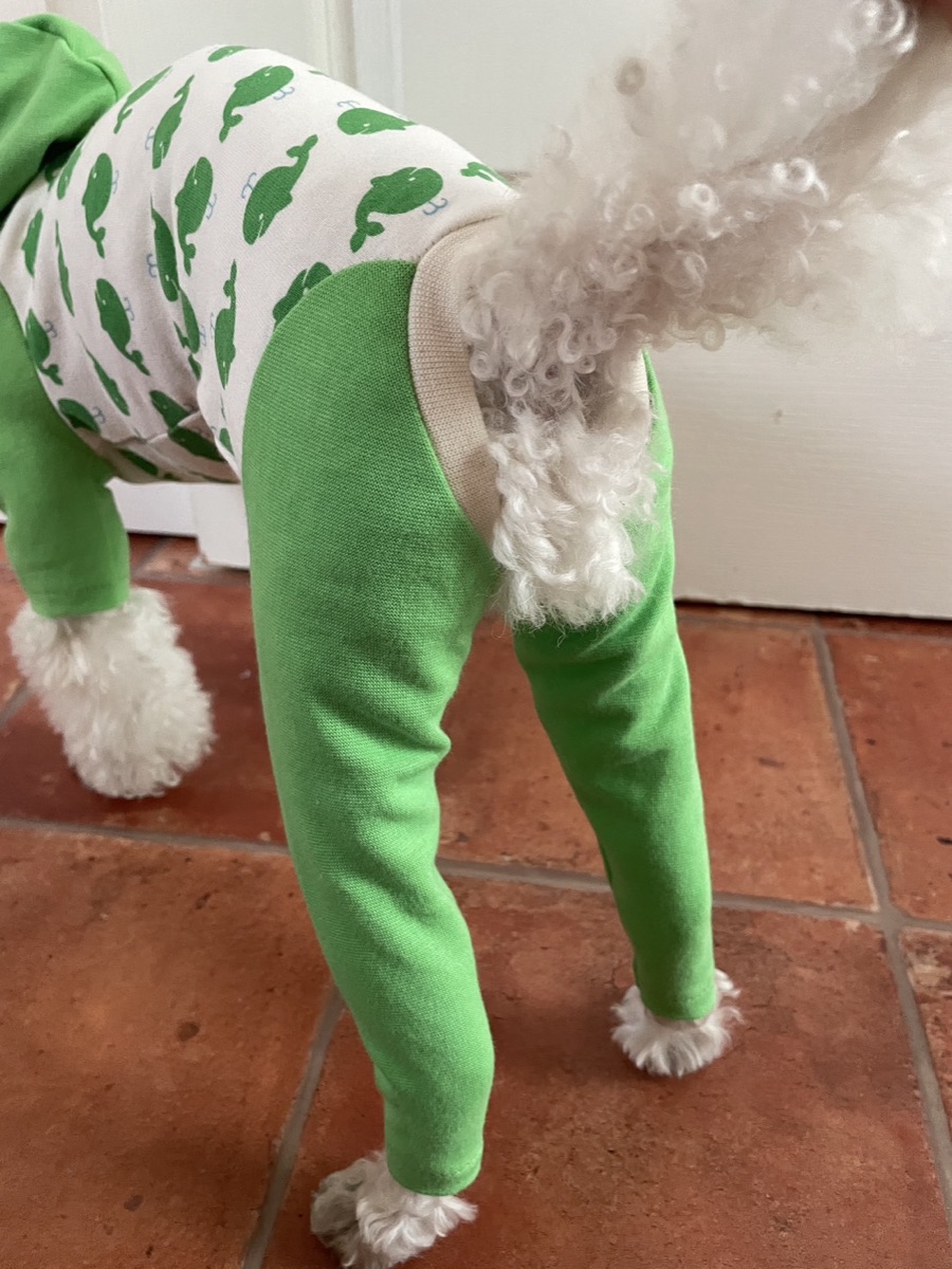 犬服ギャラリー