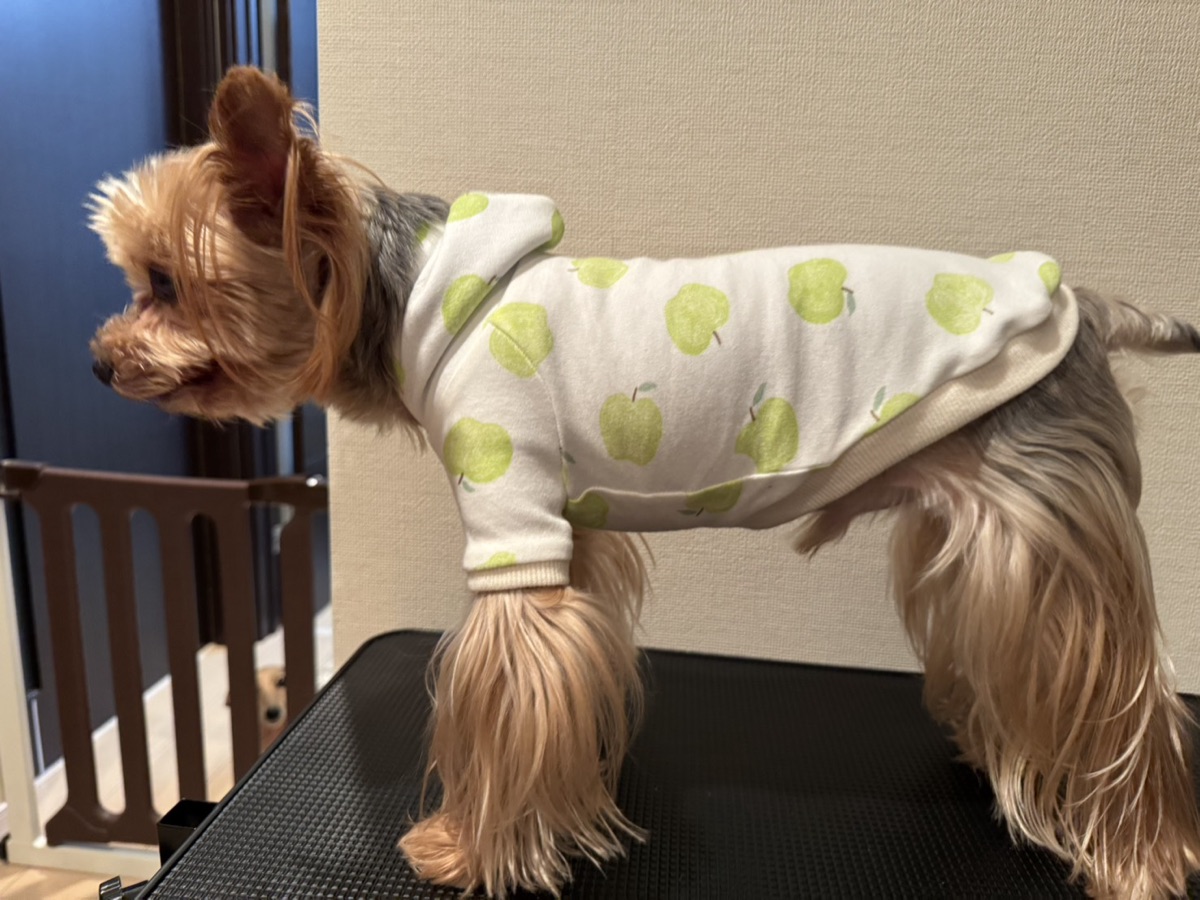 犬服ギャラリー