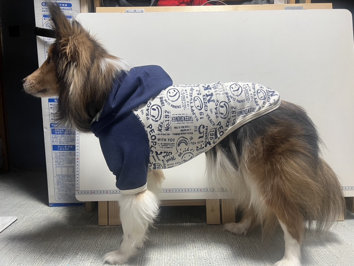 犬服ギャラリー