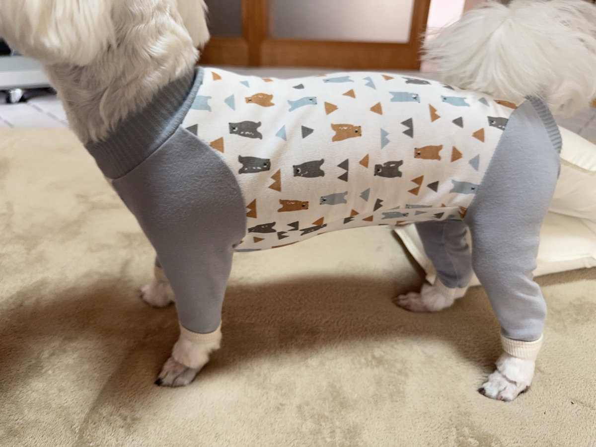 犬服ギャラリー