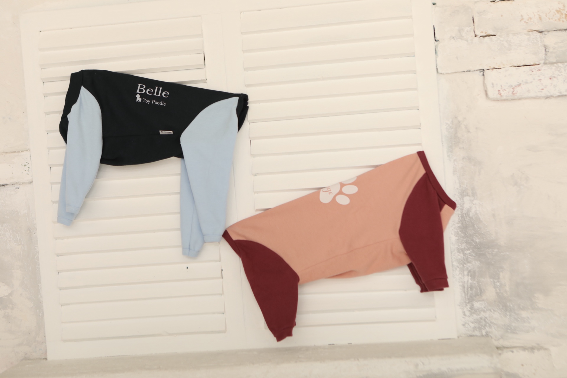 Fit Wan - 製図から学べる犬服教室のメインビジュアル5