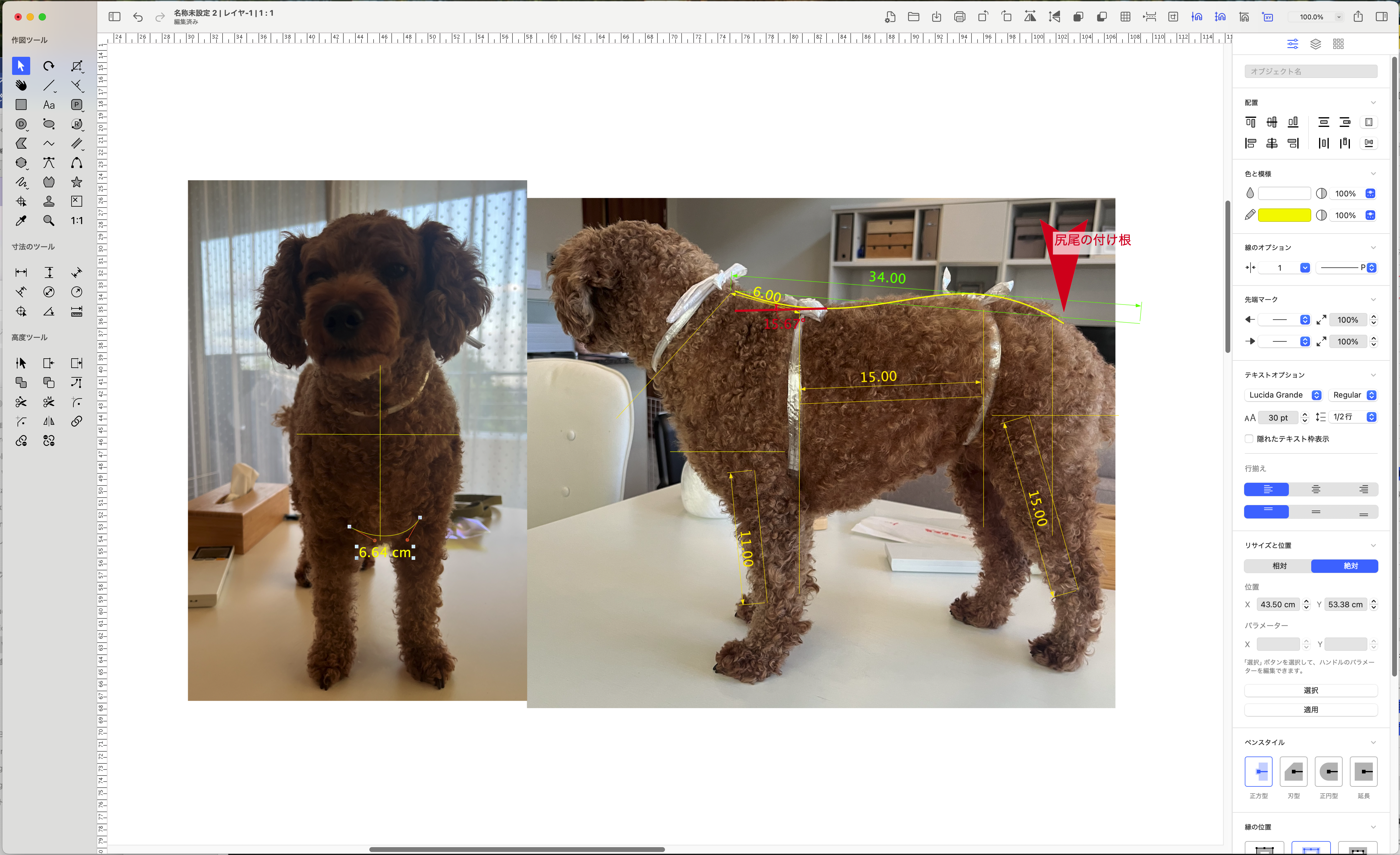 犬服マイスター養成コース