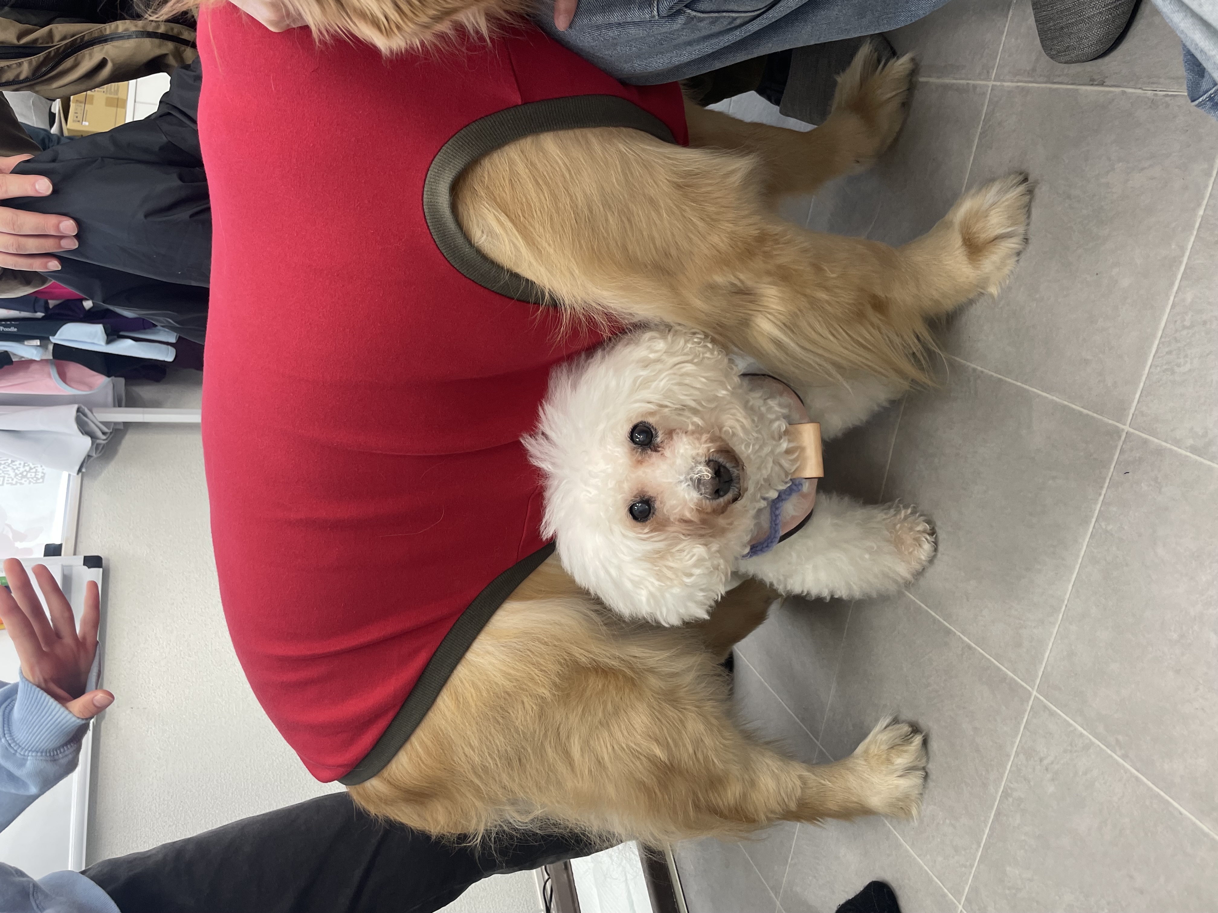 Laboでの縫製レッスン風景5