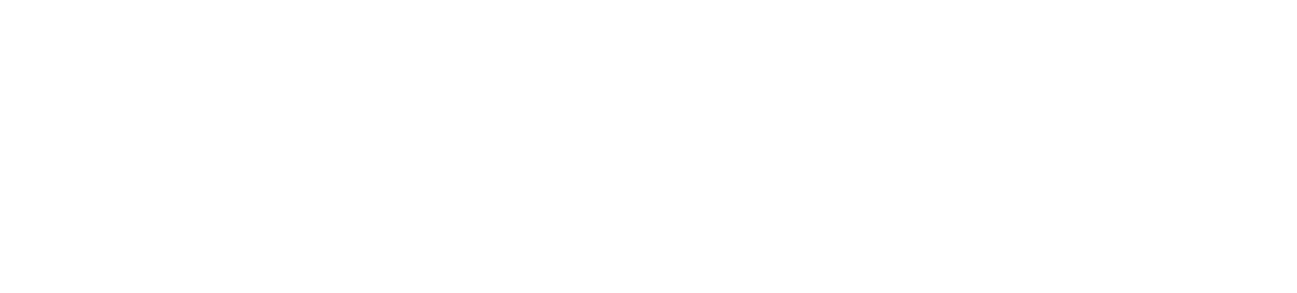 Fit Wan