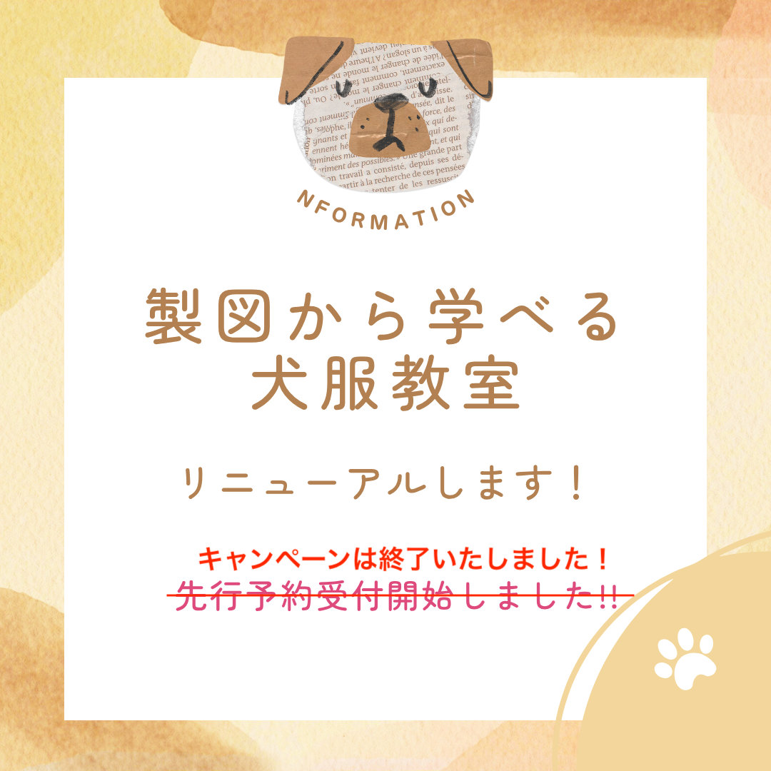 先行予約キャンペーン、終了させていただきました！